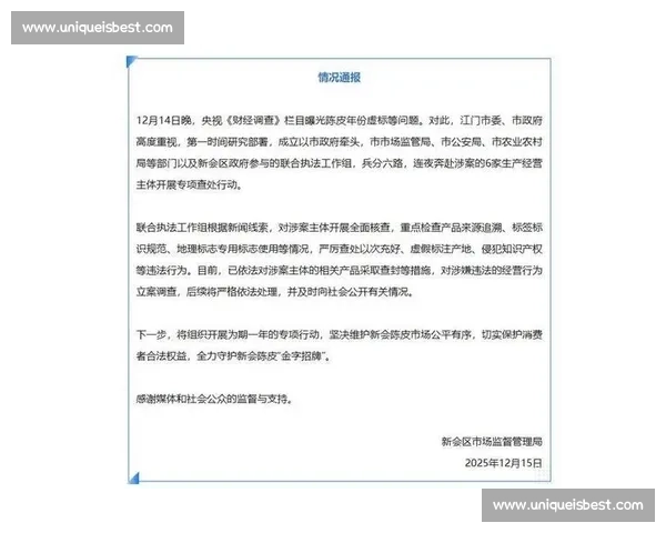 违法行为查处终局结果公布及相关责任全面追究情况通报决定说明 违法行为查处终局结果公布及相关责任全面追究情况通报决定说明
