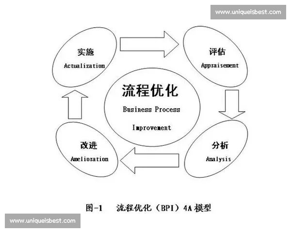 基于流程优化的企业运营与绩效提升整体管理方案